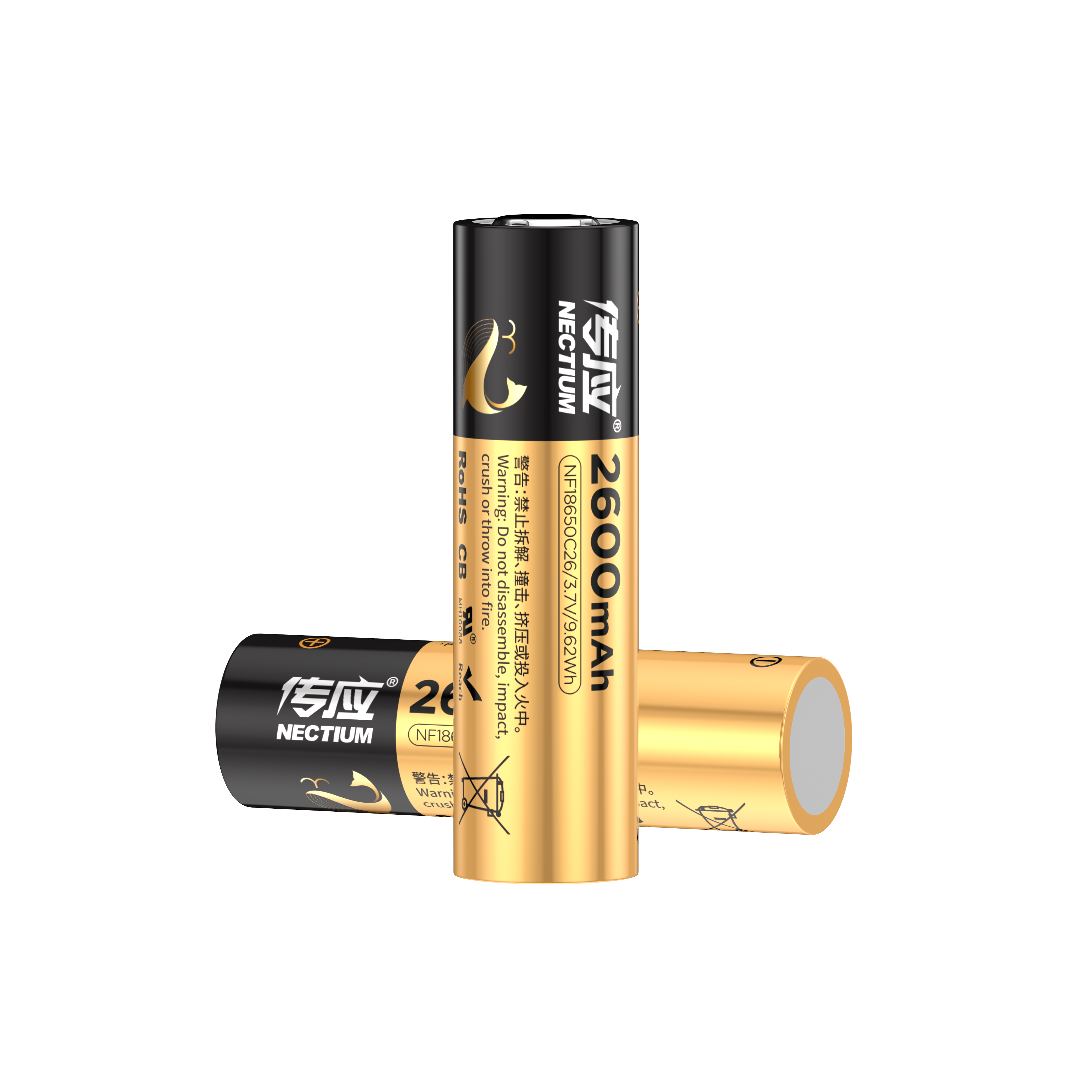 CSHIA 2021開年盛典 | 鯨孚科技首創(chuàng) 傳應(yīng)大容量物聯(lián)紐扣電池 引領(lǐng)物聯(lián)時代(圖6)